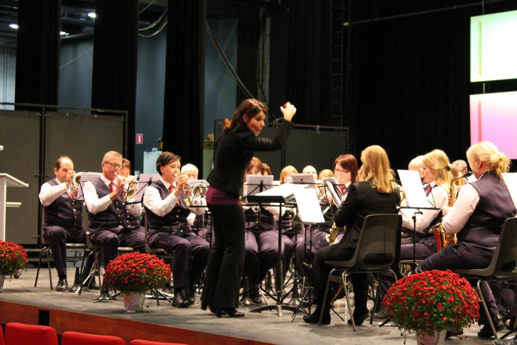 Concours Steenwijk 2013
